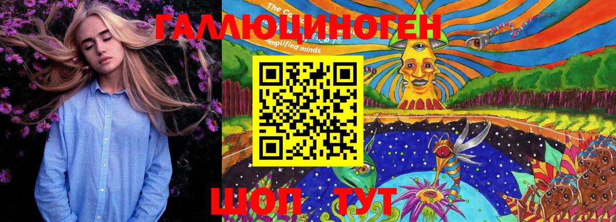 Псилоцибиновые грибы Cubensis Приморско-Ахтарск