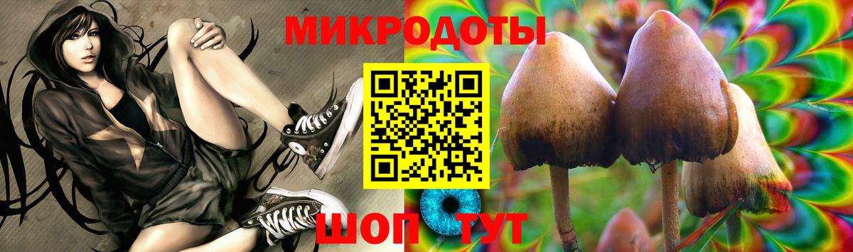 Псилоцибиновые грибы MAGIC MUSHROOMS  Вход с VPN  Приморско-Ахтарск 
